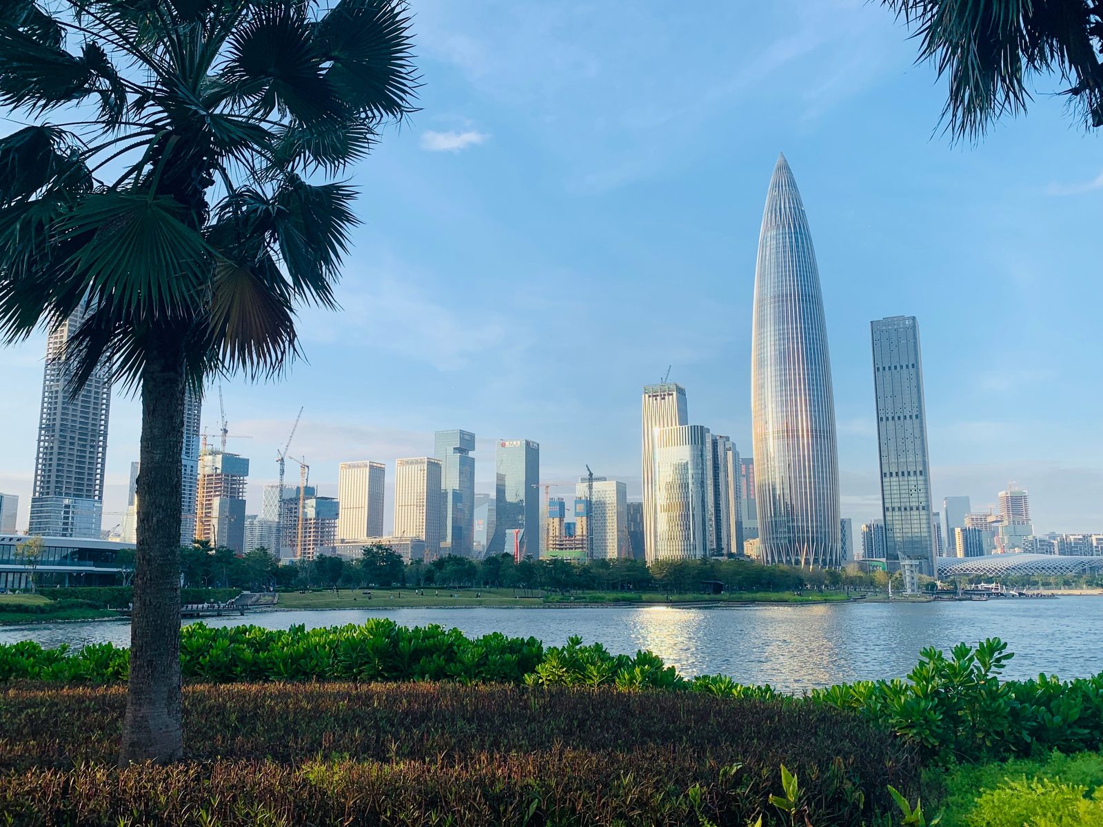 中国南方深圳现代城市天际线